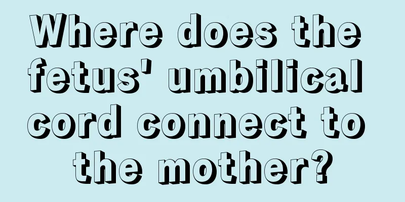 Where does the fetus' umbilical cord connect to the mother?