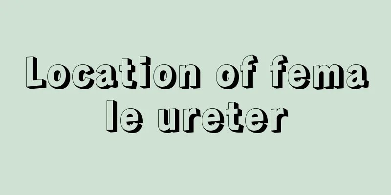 Location of female ureter