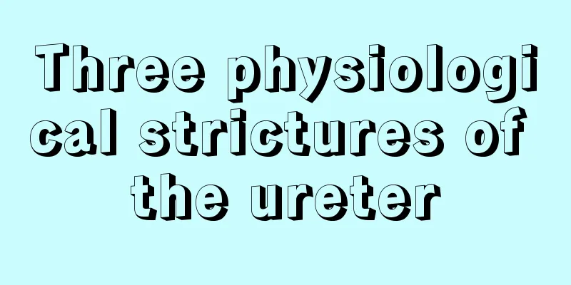 Three physiological strictures of the ureter