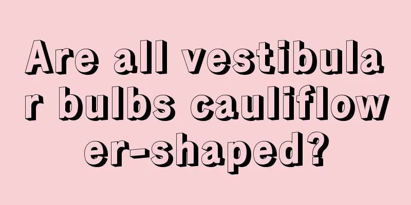 Are all vestibular bulbs cauliflower-shaped?