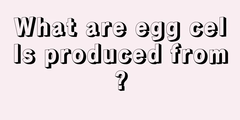 What are egg cells produced from?