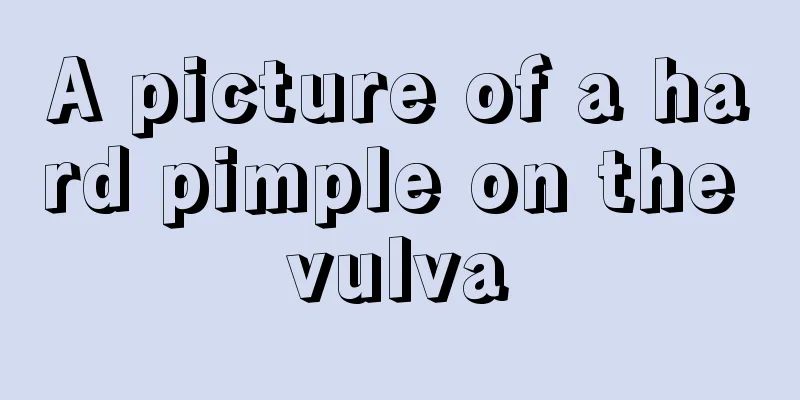 A picture of a hard pimple on the vulva