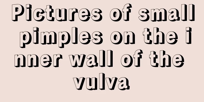 Pictures of small pimples on the inner wall of the vulva