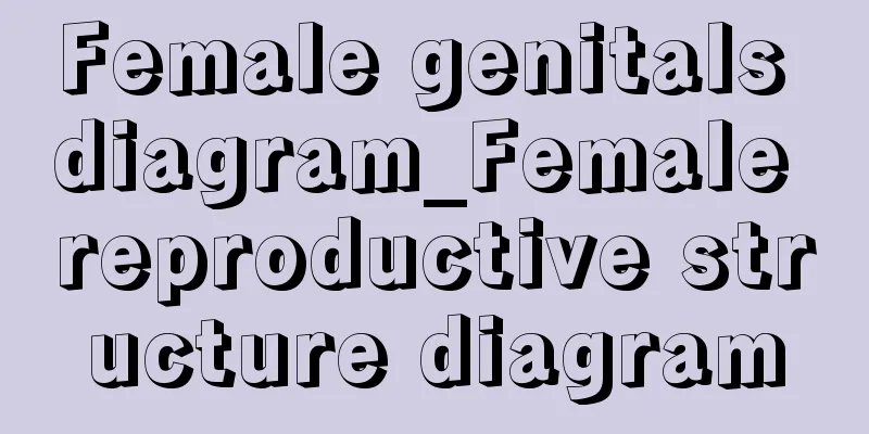 Female genitals diagram_Female reproductive structure diagram