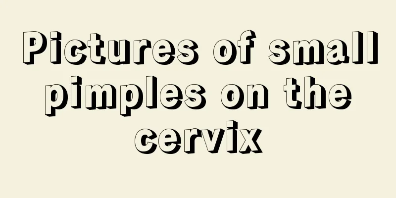 Pictures of small pimples on the cervix