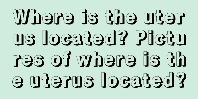 Where is the uterus located? Pictures of where is the uterus located?