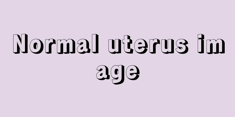 Normal uterus image