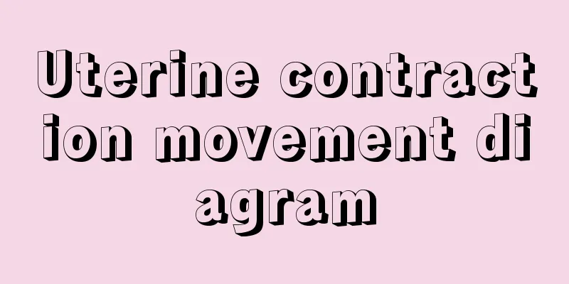 Uterine contraction movement diagram