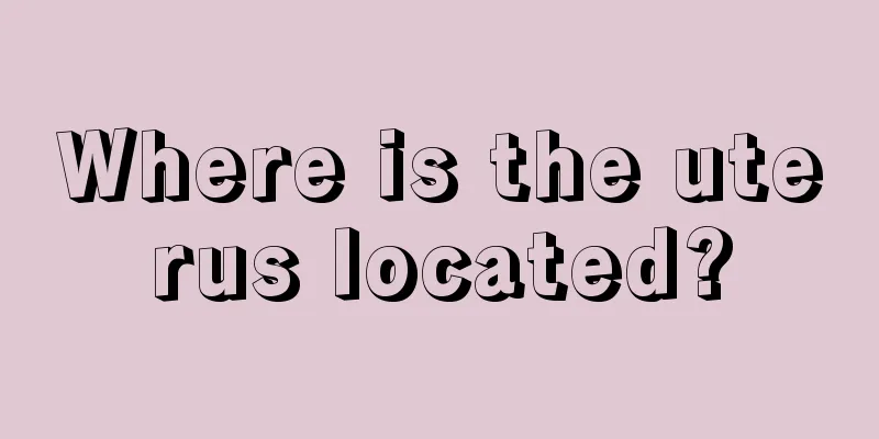 Where is the uterus located?