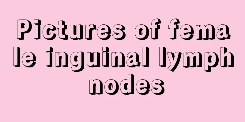 Pictures of female inguinal lymph nodes