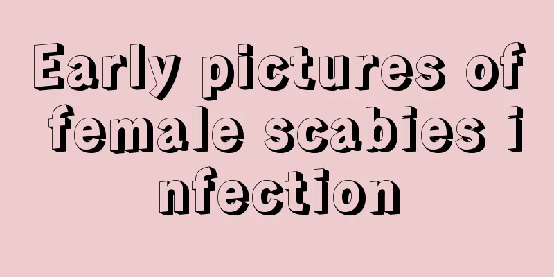 Early pictures of female scabies infection