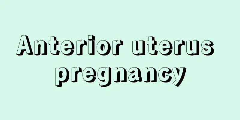 Anterior uterus pregnancy