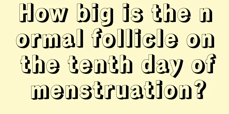 How big is the normal follicle on the tenth day of menstruation?