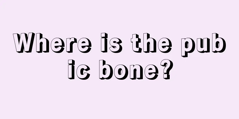 Where is the pubic bone?