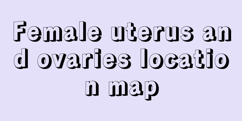 Female uterus and ovaries location map