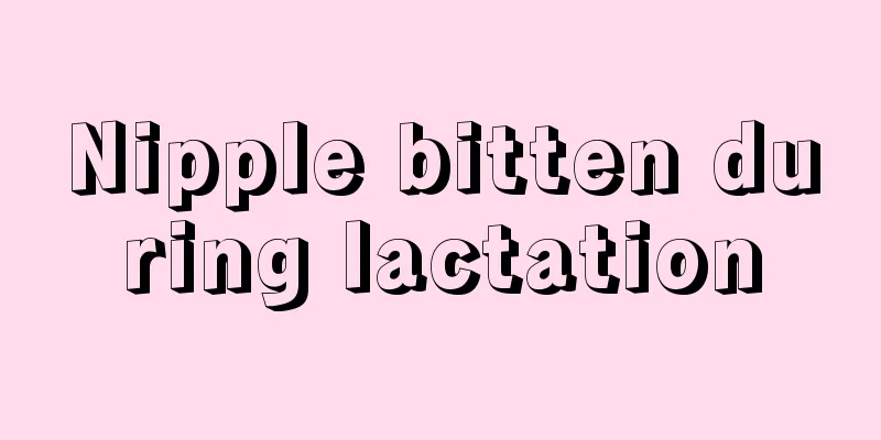 Nipple bitten during lactation