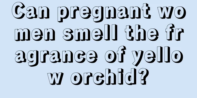 Can pregnant women smell the fragrance of yellow orchid?