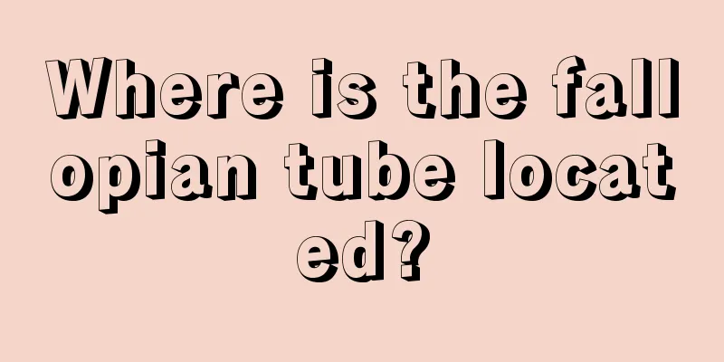 Where is the fallopian tube located?