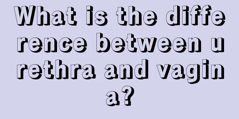 What is the difference between urethra and vagina?