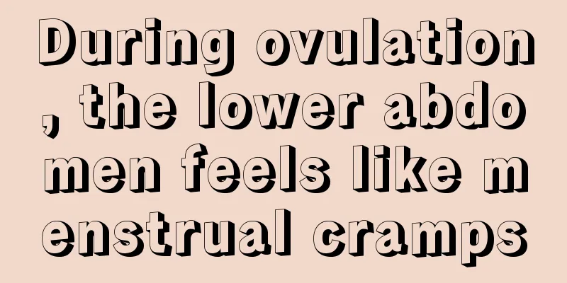 During ovulation, the lower abdomen feels like menstrual cramps