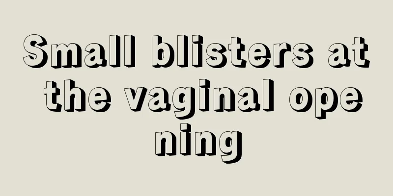 Small blisters at the vaginal opening