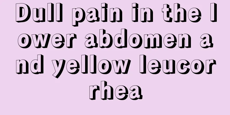 Dull pain in the lower abdomen and yellow leucorrhea