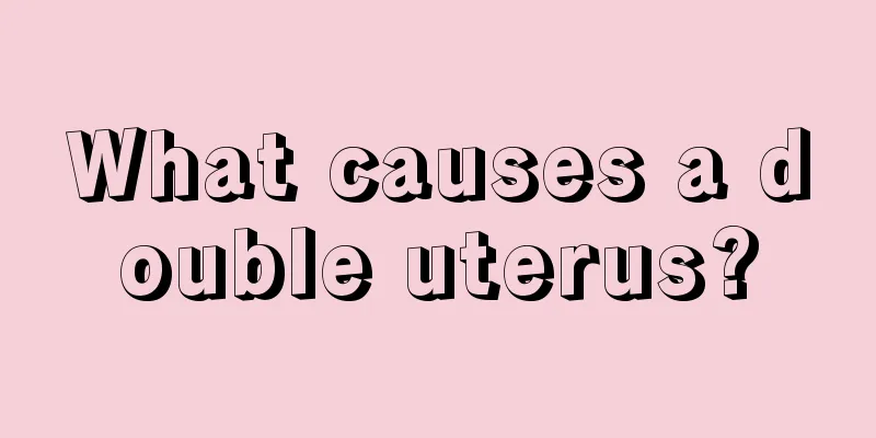 What causes a double uterus?