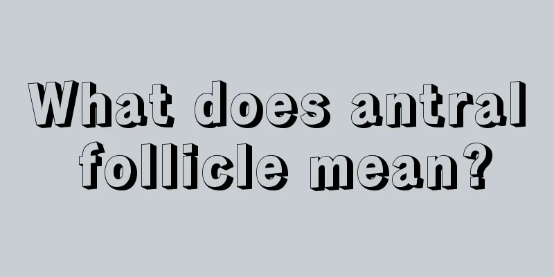 What does antral follicle mean?