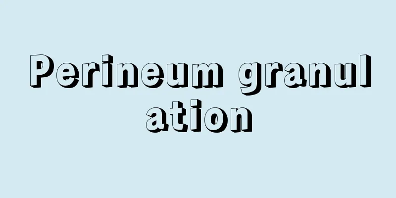 Perineum granulation