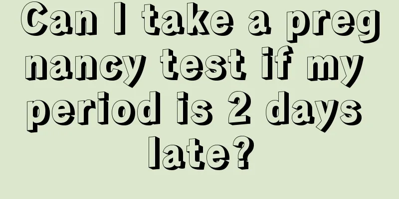 Can I take a pregnancy test if my period is 2 days late?