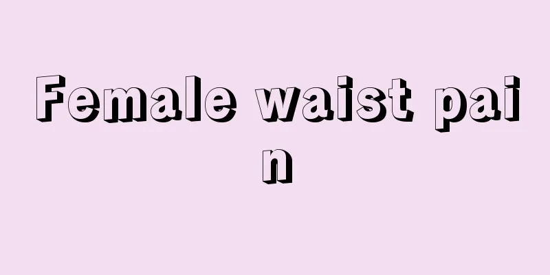 Female waist pain