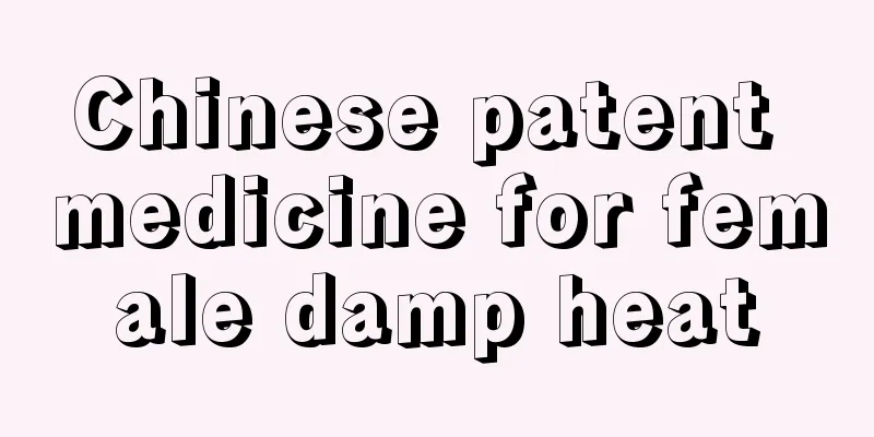 Chinese patent medicine for female damp heat