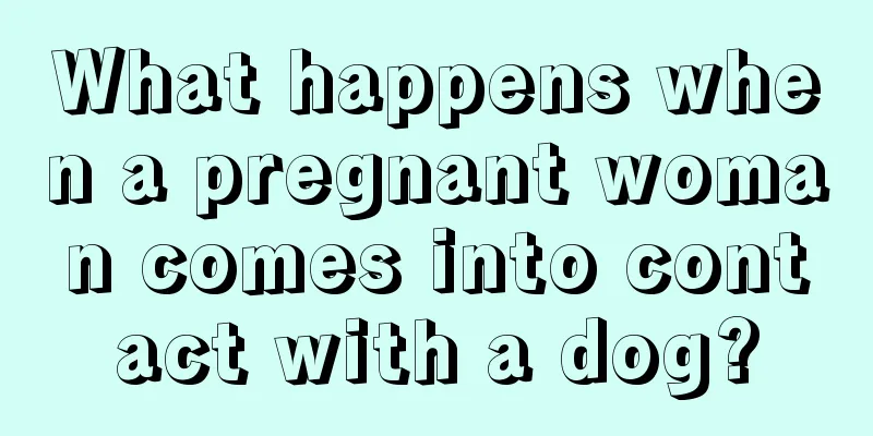 What happens when a pregnant woman comes into contact with a dog?