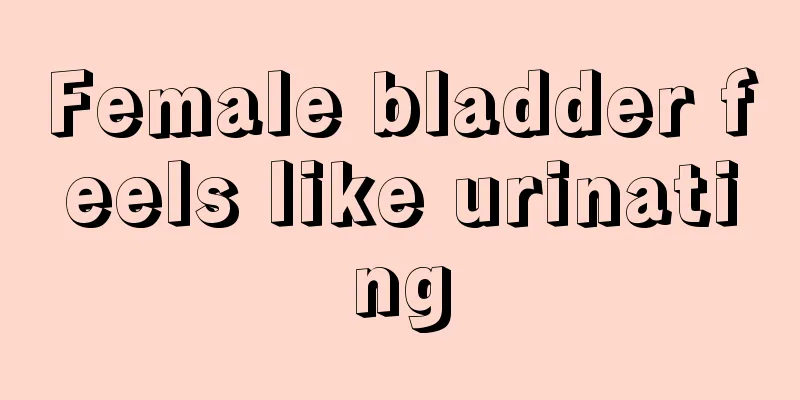 Female bladder feels like urinating