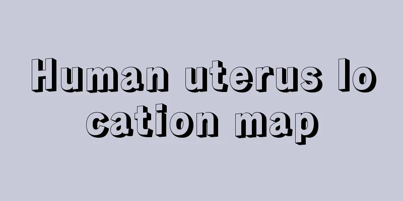 Human uterus location map