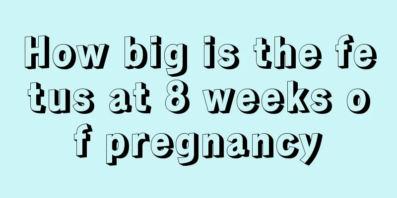 How big is the fetus at 8 weeks of pregnancy