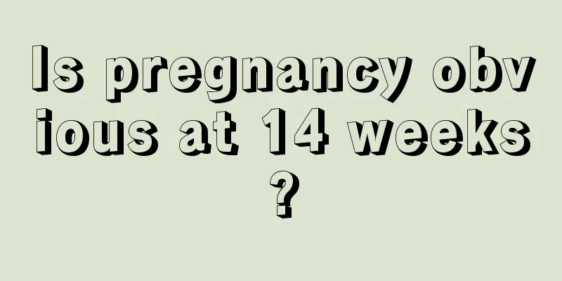 Is pregnancy obvious at 14 weeks?