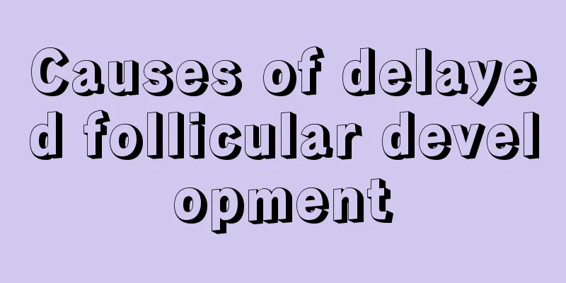 Causes of delayed follicular development