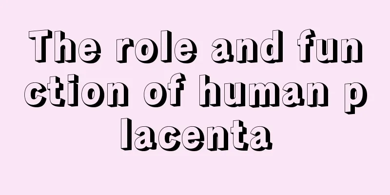 The role and function of human placenta