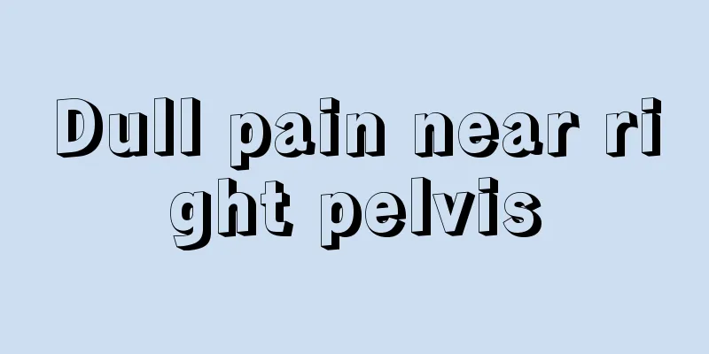 Dull pain near right pelvis