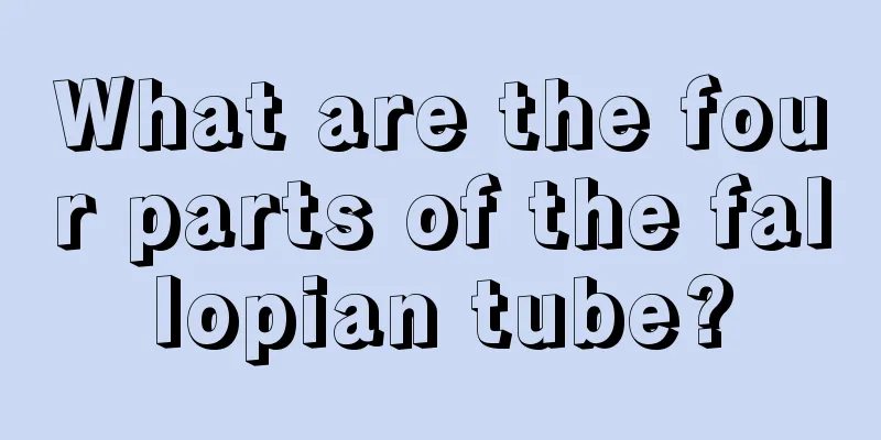 What are the four parts of the fallopian tube?