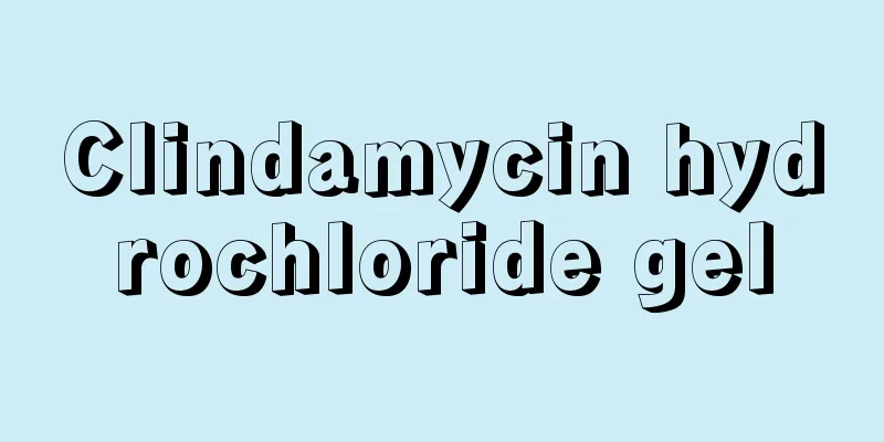 Clindamycin hydrochloride gel