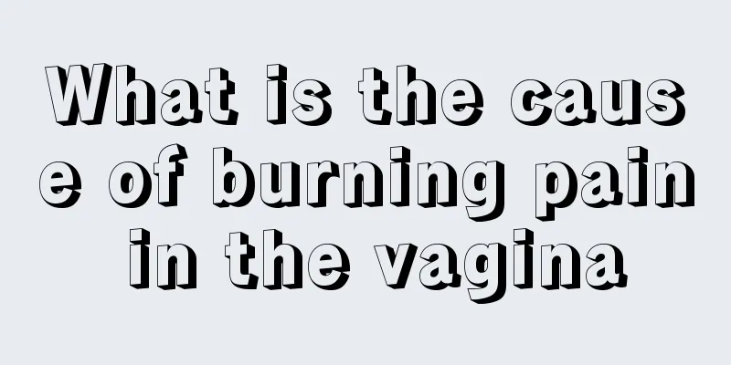 What is the cause of burning pain in the vagina