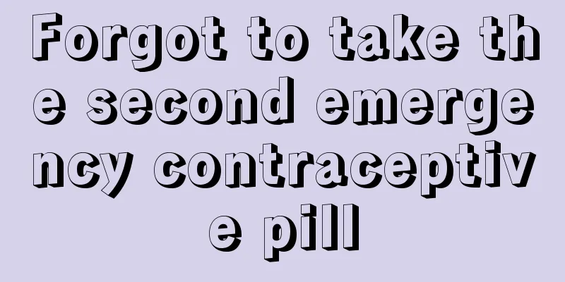 Forgot to take the second emergency contraceptive pill