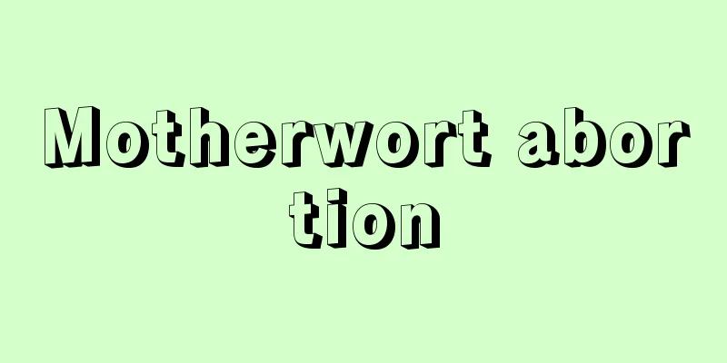 Motherwort abortion