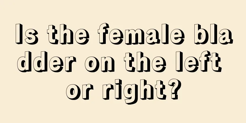 Is the female bladder on the left or right?