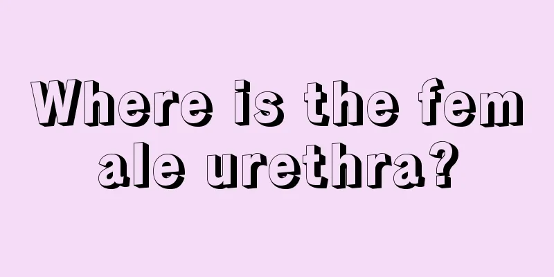 Where is the female urethra?