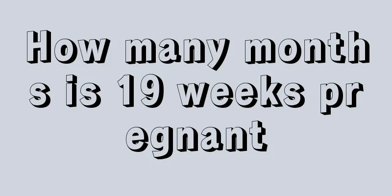 How many months is 19 weeks pregnant