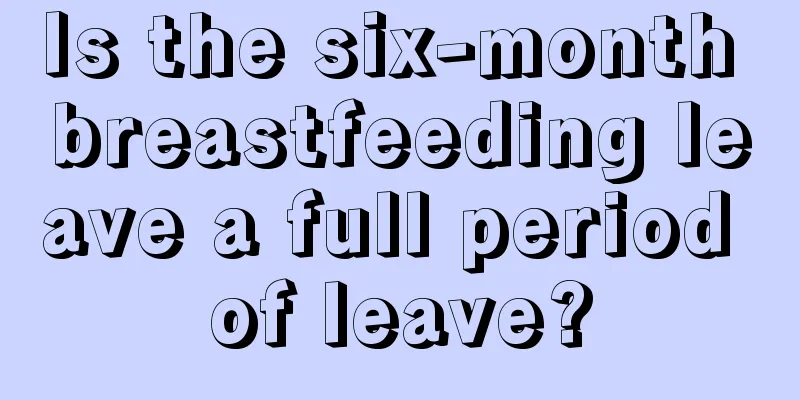 Is the six-month breastfeeding leave a full period of leave?