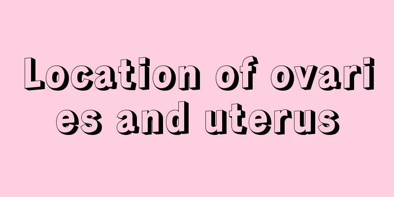 Location of ovaries and uterus